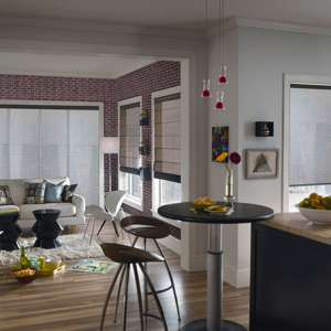 shade-o-matic-blinds-roman-slide-300x300 shade-o-matic-blinds-roman-slide-300x300